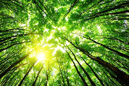 Burckhardt Compression wins order for green hydrogen project