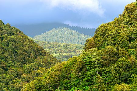 Mantra participation in Canada-China CCUS forum